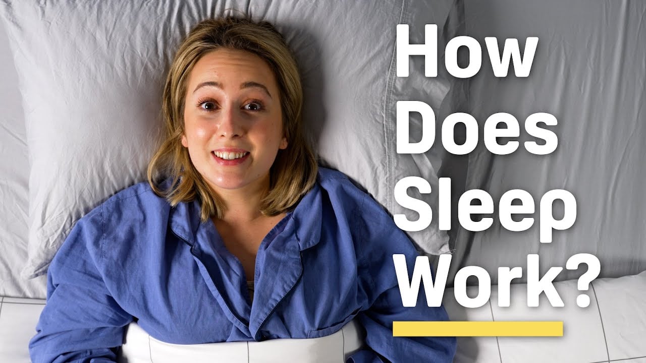 Do you like sleeping in the morning? Science reports that you're