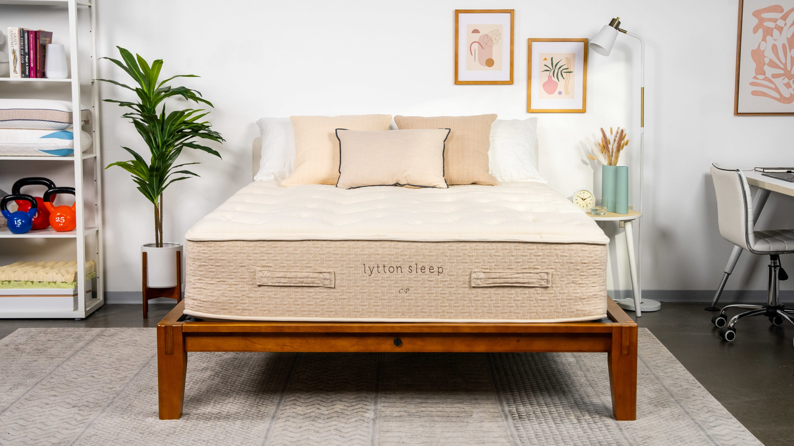 lytton serene mattress reviews