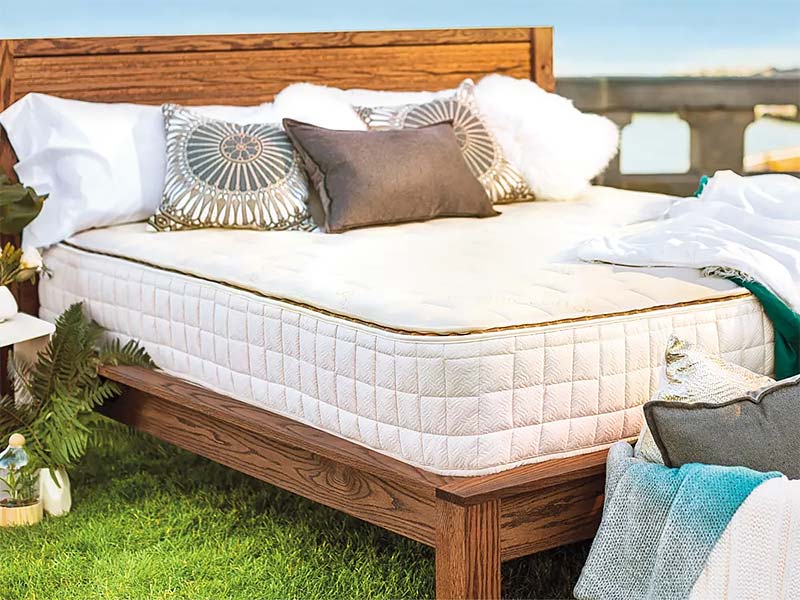 naturepedic organic essential spring mattress