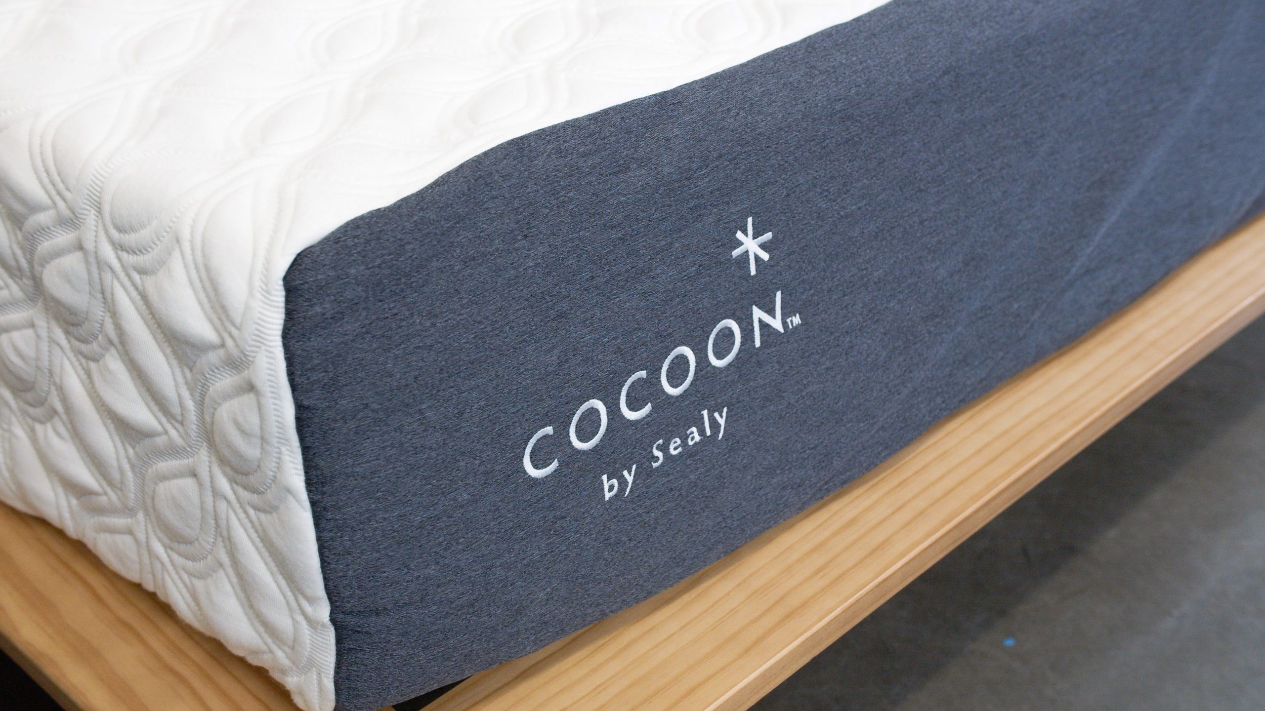 cocoon by sealy soft foam mattress queen