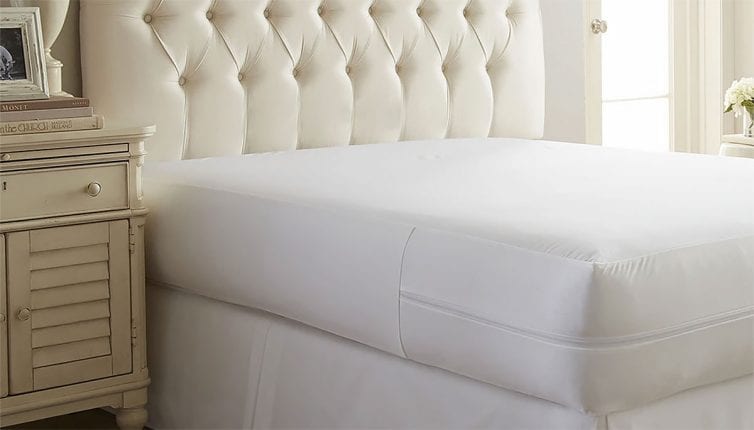 black bed bug mattress cover