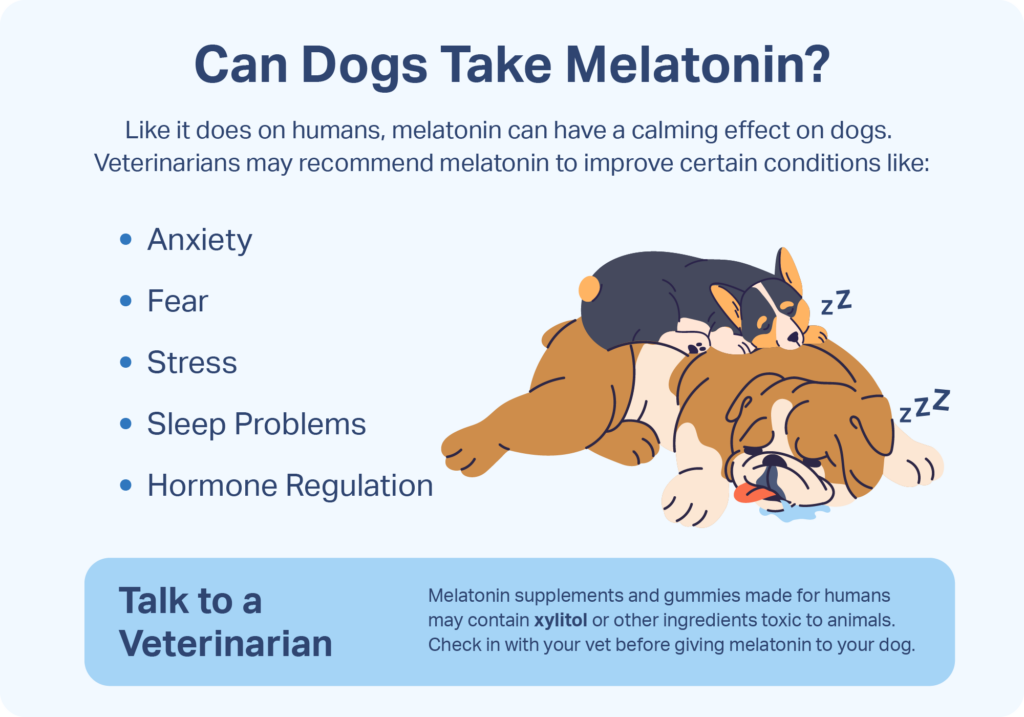 MELA-VET Soft Chew Skin & Coat Supplement for Dogs & Cats, 120 count 