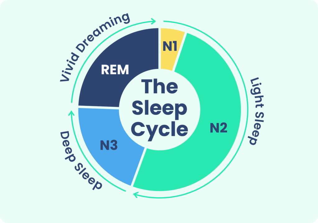 Stages Of Sleep What Happens In A Sleep Cycle Sleep Foundation