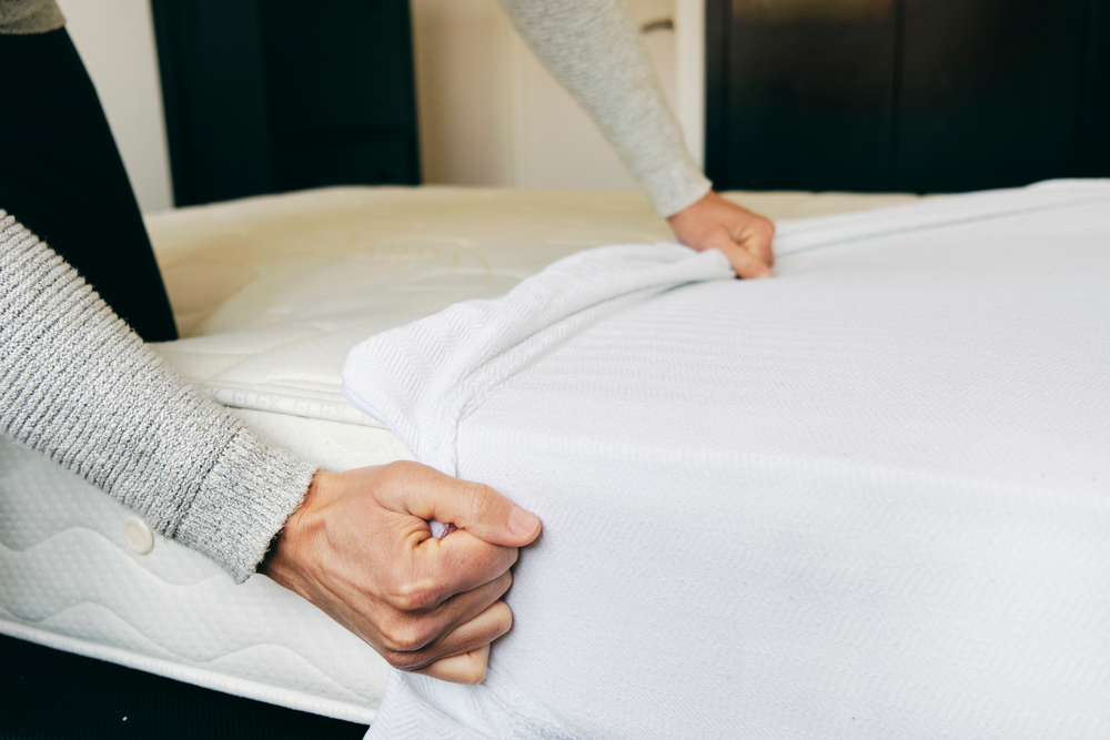 brookside tencel jersey encasement mattress protector