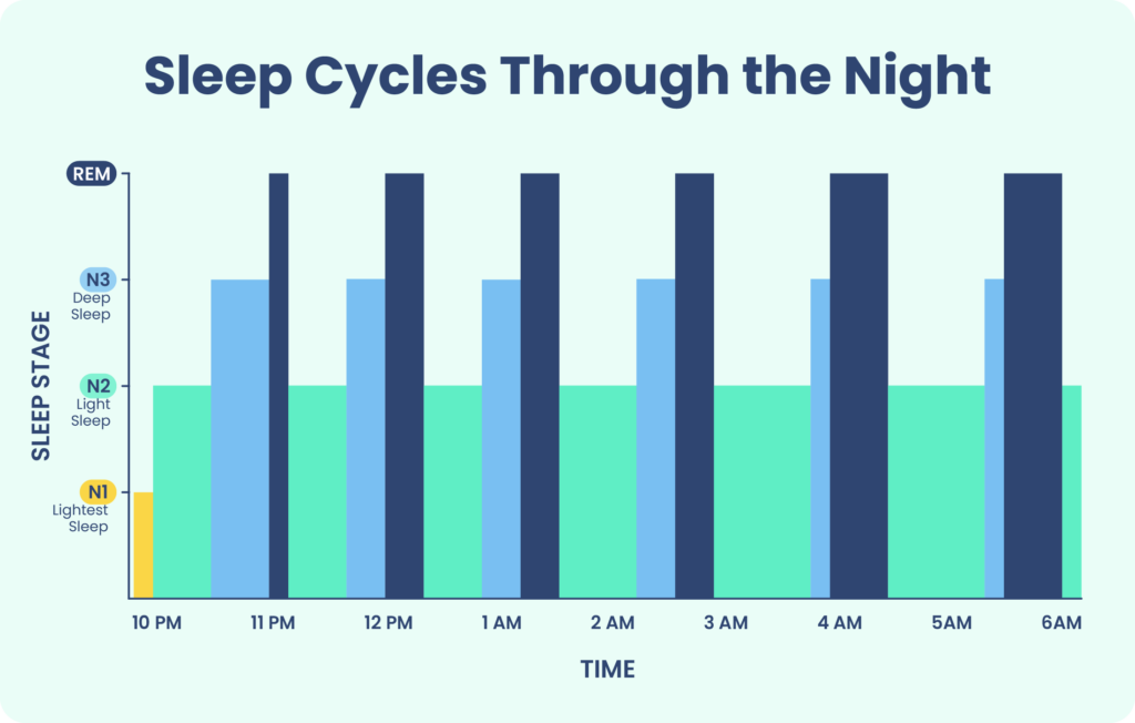 Stages of Sleep: What Happens in a Sleep Cycle | Sleep Foundation