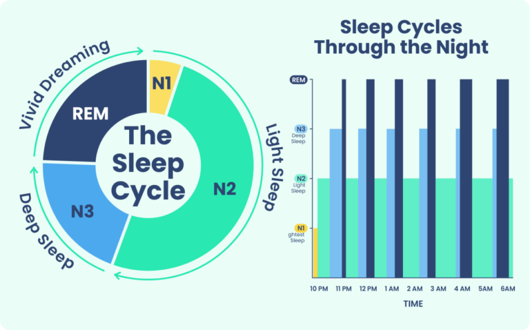 100+ Sleep Statistics - Facts and Data About Sleep 2024 | Sleep Foundation