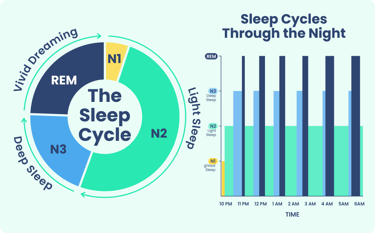 100+ Sleep Statistics - Facts and Data About Sleep 2024
