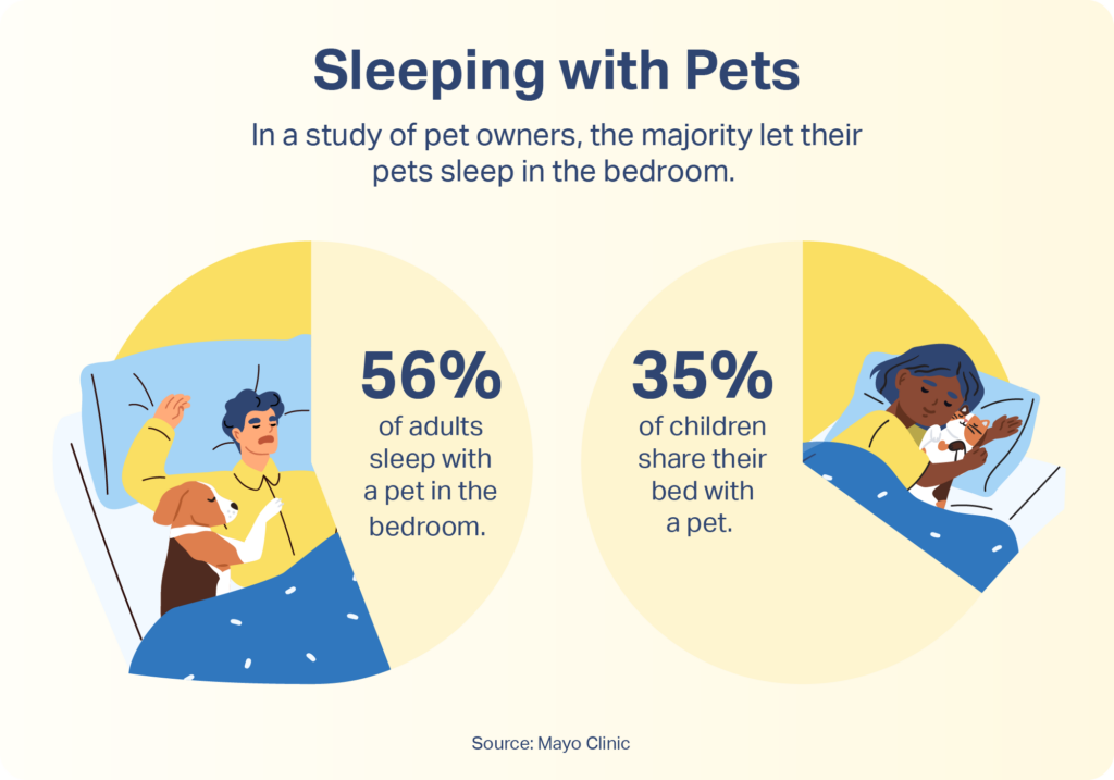 https://www.sleepfoundation.org/wp-content/uploads/2023/09/SF-23-205_SleepingWithPets_Graphic-1-1024x717.png